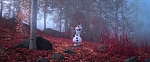Image La Reine des Neiges 2