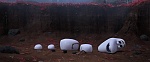 Image La Reine des Neiges 2