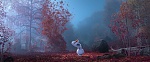 Image La Reine des Neiges 2