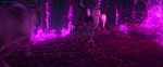 Image La Reine des Neiges 2