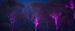 Image La Reine des Neiges 2