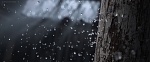 La Reine des Neiges 2 picture