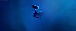 Image La Reine des Neiges 2