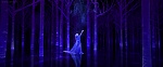 La Reine des Neiges 2 picture