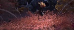 Image La Reine des Neiges 2