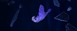 Image La Reine des Neiges 2