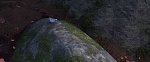 Image La Reine des Neiges 2