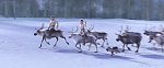 Image La Reine des Neiges 2