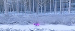 Image La Reine des Neiges 2