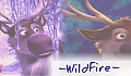 -WildFire-