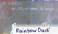 Dash20