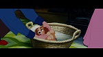 The Lady and the Tramp picture
