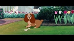 The Lady and the Tramp picture