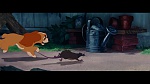 The Lady and the Tramp picture