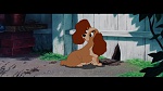 The Lady and the Tramp picture