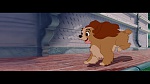 The Lady and the Tramp picture