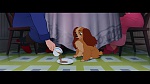 The Lady and the Tramp picture