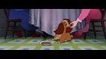 The Lady and the Tramp picture