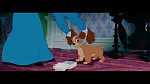 The Lady and the Tramp picture