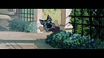 The Lady and the Tramp picture