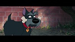 The Lady and the Tramp picture