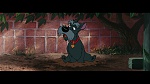 The Lady and the Tramp picture