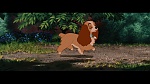 The Lady and the Tramp picture
