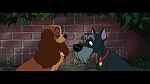 The Lady and the Tramp picture