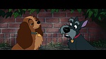 The Lady and the Tramp picture