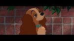 The Lady and the Tramp picture
