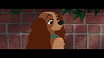 The Lady and the Tramp picture