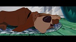 The Lady and the Tramp picture