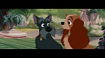 The Lady and the Tramp picture