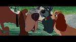 The Lady and the Tramp picture