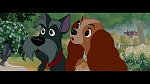 The Lady and the Tramp picture