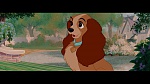 The Lady and the Tramp picture