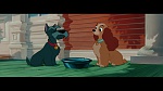 The Lady and the Tramp picture