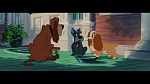 The Lady and the Tramp picture