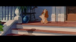 The Lady and the Tramp picture