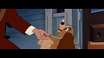 The Lady and the Tramp picture