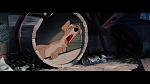 The Lady and the Tramp picture
