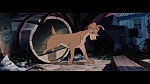 The Lady and the Tramp picture