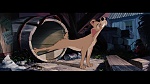 The Lady and the Tramp picture