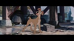 The Lady and the Tramp picture