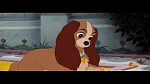 The Lady and the Tramp picture