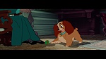 The Lady and the Tramp picture