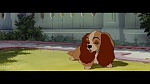 The Lady and the Tramp picture