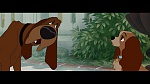 The Lady and the Tramp picture