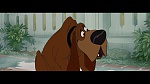 The Lady and the Tramp picture