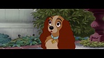 The Lady and the Tramp picture